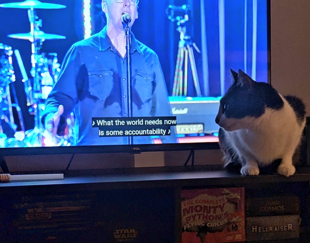 even tremendão (aka the shredder) agrees with that statement