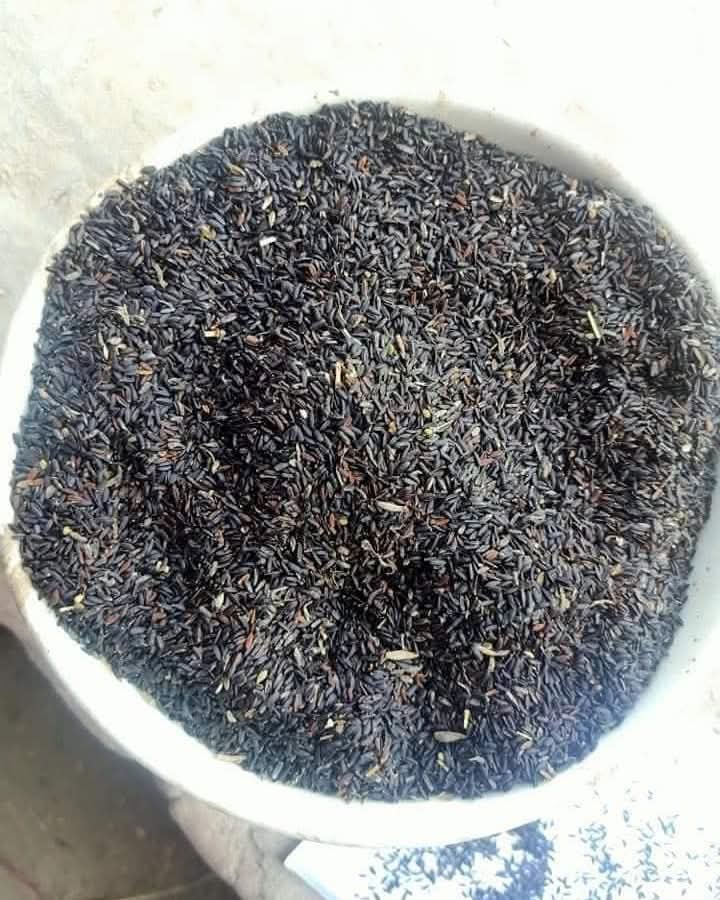 =====تخم بالنگا کے فوائد و استعمالات========

اس کی افادیت اور استمعال سے یقینا بہت سے لوگ واقف ہیں ۔ لیکن لوگوں کیلئے یہ کچھ خاص اہمیت کا حامل نہیں جبکہ اسکے ایک چمچ کی قدرتی افادیت کسی ملٹی وٹامنز کی گولی سے کم نظر نہیں آتی اس میں دودھ کے مقابلے میں پانچ گنا زیادہ کیلشیم اور