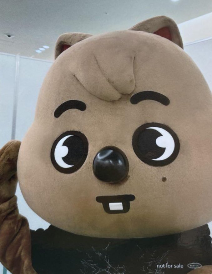 HAN JISUNG AND HAN QUOKKA 😭🤎