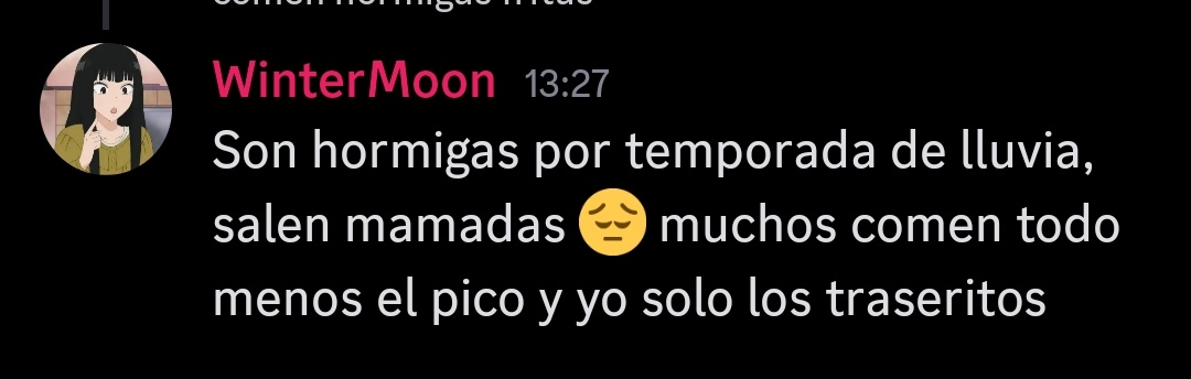 Qué tienen en contra de comer hormigas? 😔