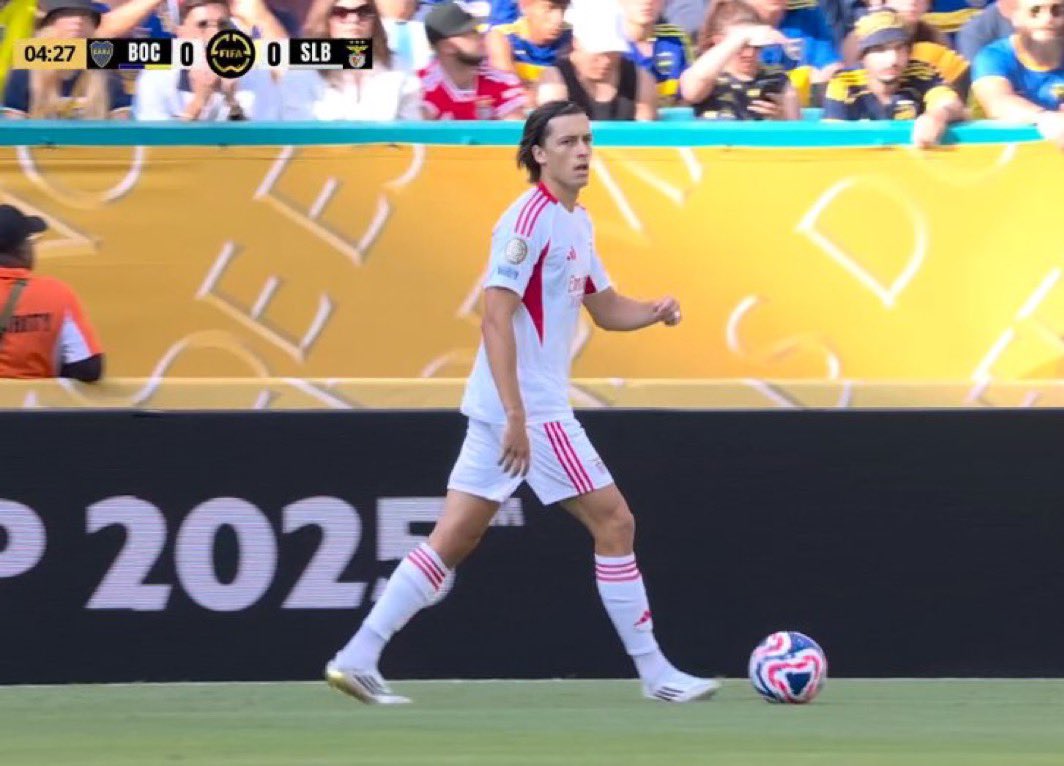 (fan) Marito 🐢 tweet media