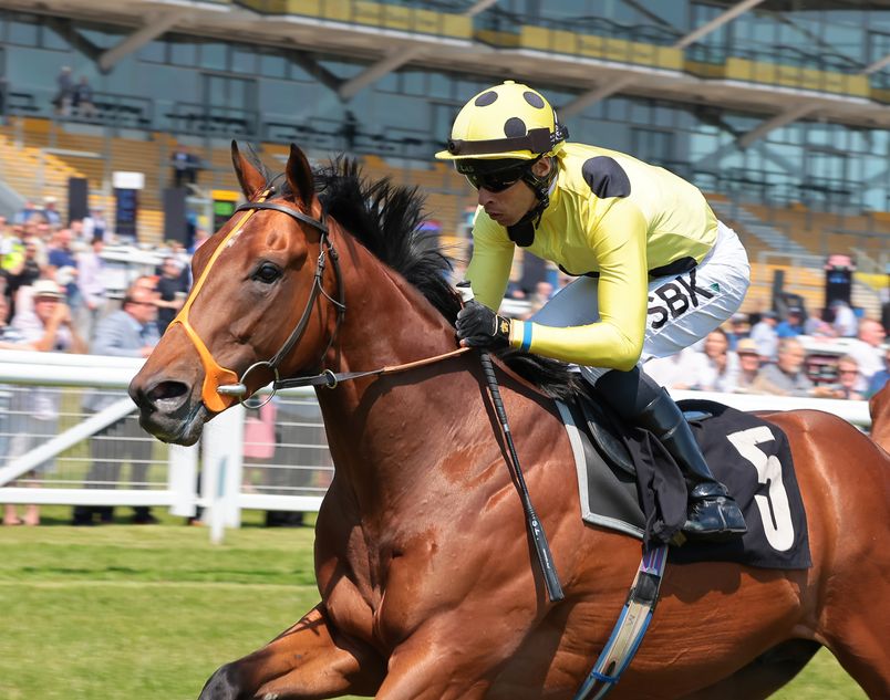 racingblogger's tweet photo. I've got terrible news for you all.

I've backed ROSALLION boys 😂😂😂 https://t.co/HtFK2yP7vy