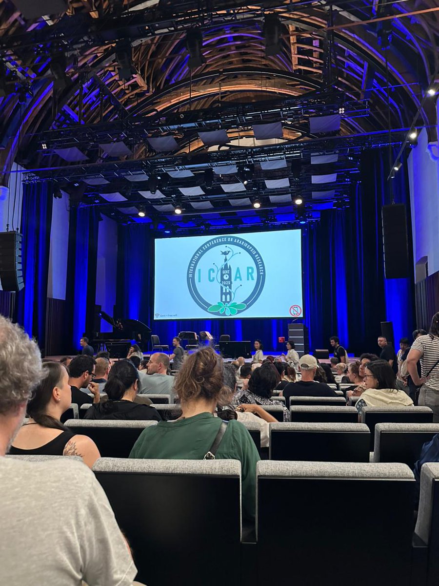 DEEP SHIKHA (@deepshi40871799) on Twitter photo Kickstarted #ICAR2025 at Gent (Belgium)- the city of art.
A big thanks to my mentor <a href="/santosh7bhai/">Santosh Satbhai</a> for all guidance and support. I'm also highly indebted to <a href="/ANRFIndia/">Anusandhan National Research Foundation</a> for travel grant and #Jan21 friends for all the help and assistance. <a href="/sbslab_IISERM/">SBS Lab</a> <a href="/DBS_IISERM/">Dept. of Biological Sciences (DBS), IISER Mohali</a> <a href="/pdfiisermohali/">Biology-PDF IISERM</a> Kickstarted #ICAR2025 at Gent (Belgium)- the city of art.
A big thanks to my mentor <a href="/santosh7bhai/">Santosh Satbhai</a> for all guidance and support. I'm also highly indebted to <a href="/ANRFIndia/">Anusandhan National Research Foundation</a> for travel grant and #Jan21 friends for all the help and assistance. <a href="/sbslab_IISERM/">SBS Lab</a> <a href="/DBS_IISERM/">Dept. of Biological Sciences (DBS), IISER Mohali</a> <a href="/pdfiisermohali/">Biology-PDF IISERM</a>