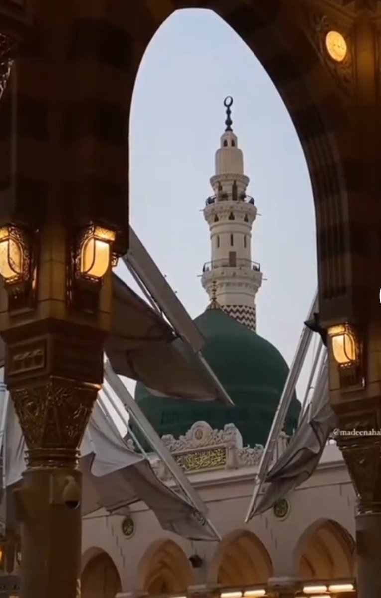 Zahoor Fatima tweet media