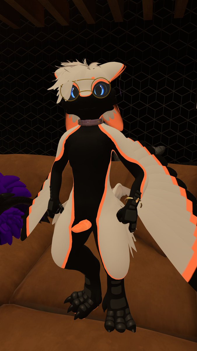 Have funny little nudey pictures friend took, featuring my friends head, until I get off my feathered rump and take proper pictures