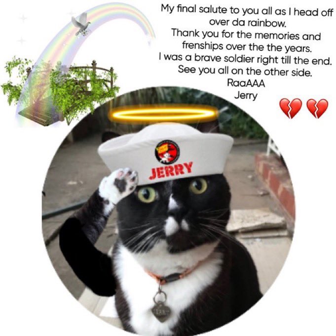 TheRuffRiderz (@theruffriderz) on Twitter photo Our dear sweey Jerry <a href="/jerry_tuxedo/">Angel π Captain Jerry - RIP 1.8.2013-17.6.2025</a> has gone π. We burn our @theRuffRiderz candle for him to bring comfort to his family. Jerry helped lead the @theRuffRiderz with Pumpkin for awhile. He will be sorely missed. πΏπΏπΏπ Our dear sweey Jerry <a href="/jerry_tuxedo/">Angel π Captain Jerry - RIP 1.8.2013-17.6.2025</a> has gone π. We burn our @theRuffRiderz candle for him to bring comfort to his family. Jerry helped lead the @theRuffRiderz with Pumpkin for awhile. He will be sorely missed. πΏπΏπΏπ