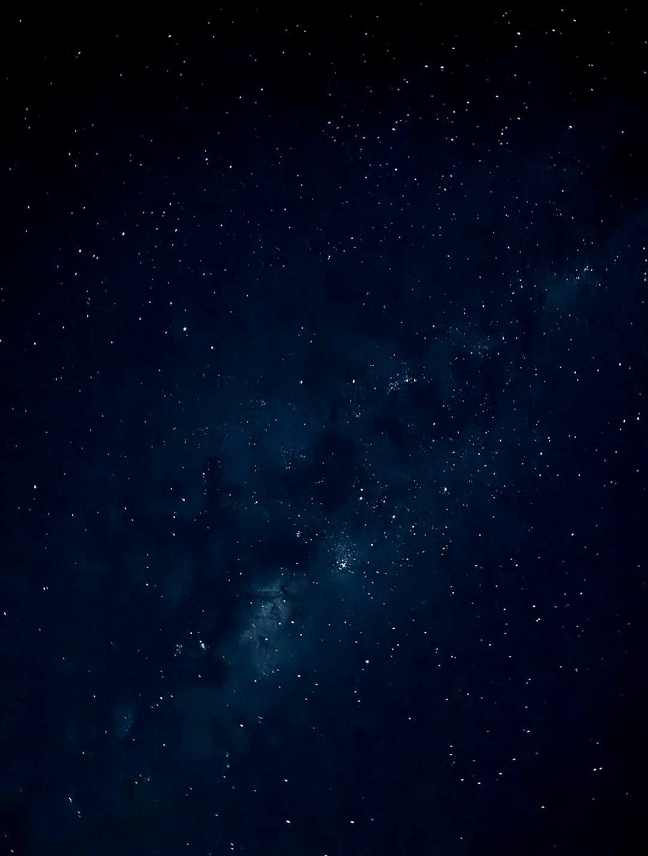 Mi estrella más brillante,
en las noches más oscuras. 
#PipayouaremyONE 🫀🐾 ♾️