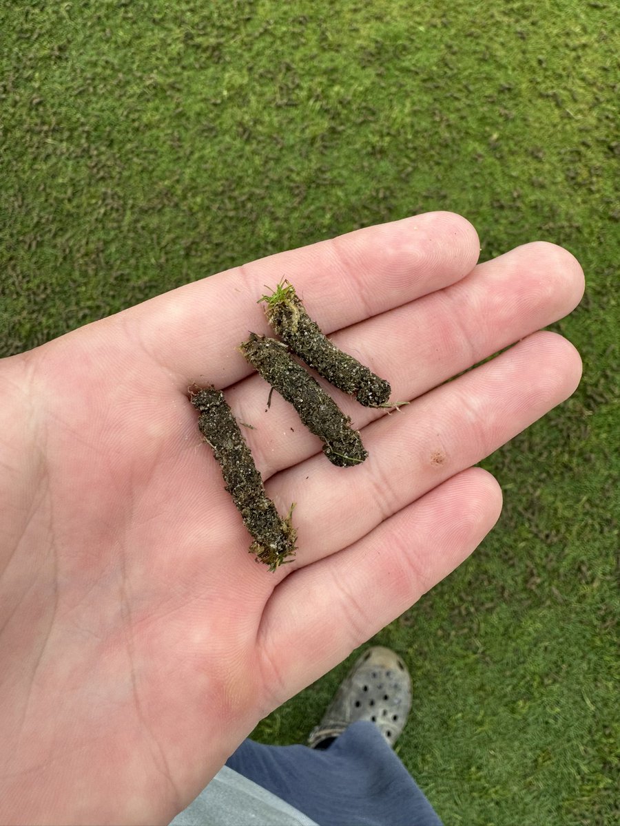 Want to go into the summer heat with your greens breathing easy?

Try our Emperor Imperial tines. 
Part # 1S202580

Got sent this pik from a course in Richmond. 

<a href="/JRMTurfProducts/">JRM Inc. - INNOVATIVE TURF TECHNOLOGY</a>