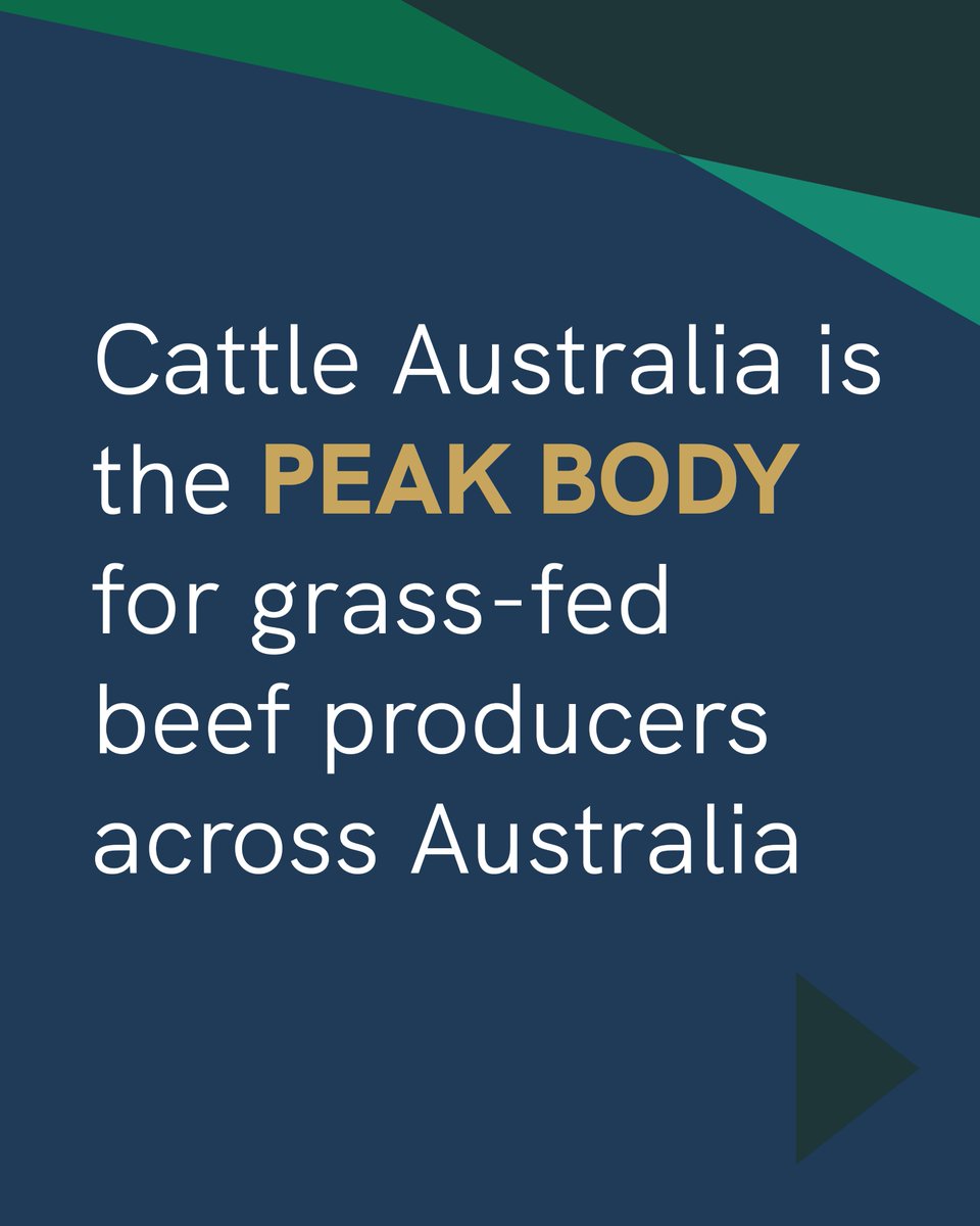 CattleAus's tweet image. Join Cattle Australia today and have your say on the big issues facing grass-fed cattle production.
cattleaustralia.com.au/join/