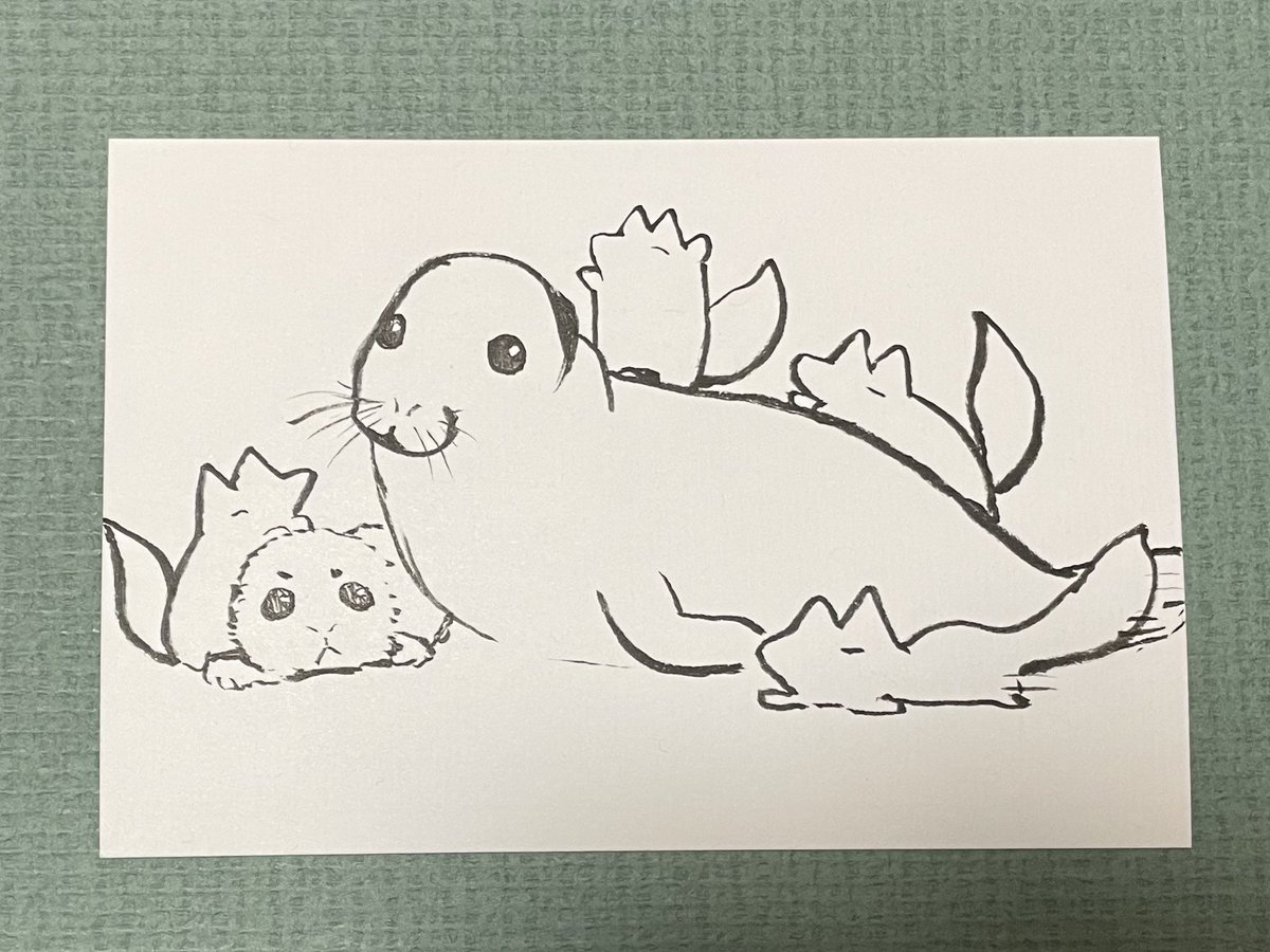 sutahapikitune's tweet image. 梅雨時だしな〜
アジサイかアサガオの絵でも描こうかな〜って参考画像見ようとしたらなんか間違えてアザラシになっちゃった…
なんで???