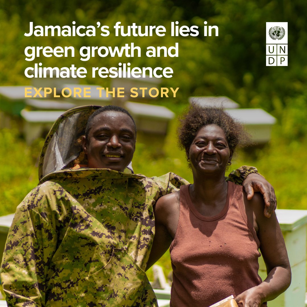 Kishan Khoday (@kishankhoday) on Twitter photo 🌎<a href="/UNDPJamaica/">UNDP Multi Country Office in Jamaica</a>'s robust climate resilience portfolio signals our commitment to Jamaica's climate ambitions & int'l commitments. This includes shaping an enabling environment for a green economy🌿, investing in renewables☀️& unlocking climate finance.
🔗go.undp.org/U6m 🌎<a href="/UNDPJamaica/">UNDP Multi Country Office in Jamaica</a>'s robust climate resilience portfolio signals our commitment to Jamaica's climate ambitions & int'l commitments. This includes shaping an enabling environment for a green economy🌿, investing in renewables☀️& unlocking climate finance.
🔗go.undp.org/U6m