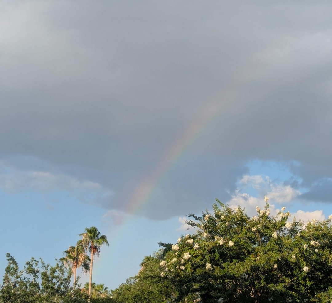 Tech Support ™ (@corpowagie) on Twitter photo 