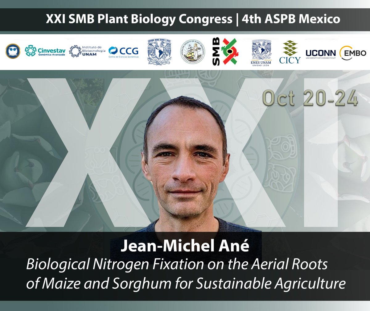 SMBPlant tweet media