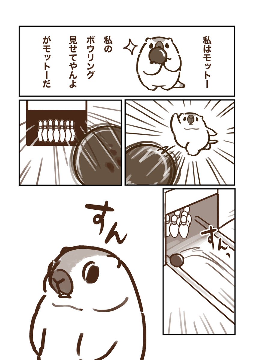 marmottooooo's tweet image. その37🎳