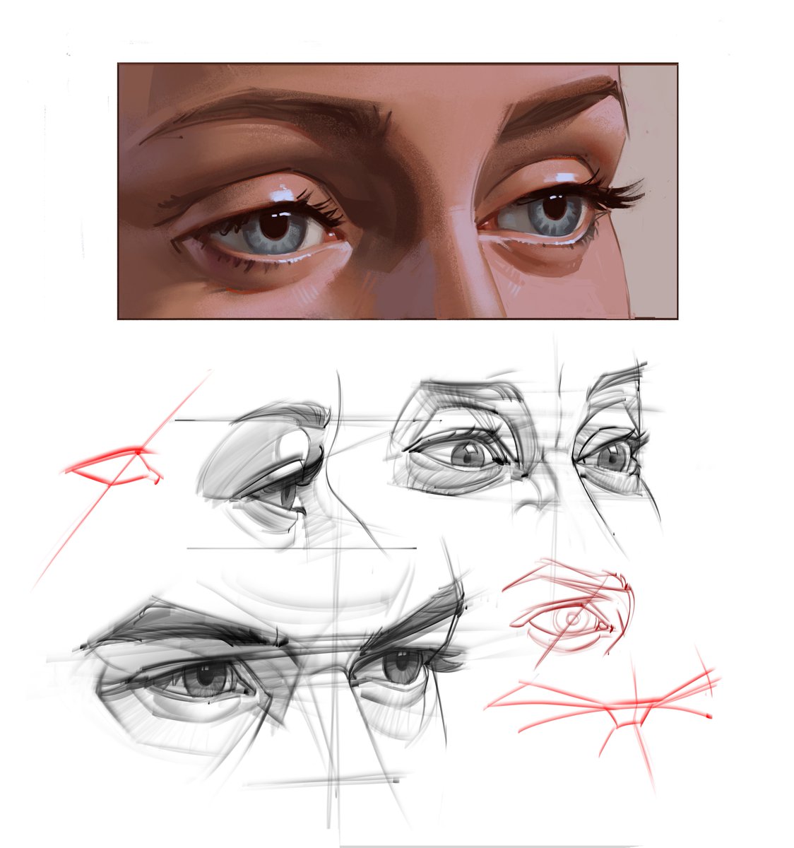 saqomolo's tweet photo. Another sample from the In Depth Head Painting tutorial I'm releasing soon! Some images from the eye chapter:) #eyes #pianting #brushstrokes #iris #pupils #doodles #sketches #drawing #lineart #anatomy #humananatomy #gottogetbetter #colorstudy #illustration #eyebrows #sultry #goals #arttutorials #arttips #figuredrawing #gesturedrawing