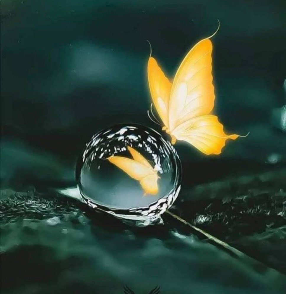 سلاما والف سلاما     
لأولئك العابرين على الأرض بِخفّة ..
 للذين ما جرحوا قلباً ولا أبكوا عيناً ... 
سلاما والف سلاما 
لأولئك الذين خلقت أرواحهم من بياض 
 وكأنٓهم قصائدُ نُظمت من نقاء ..
 لا ينكسرُ وزنُ صدقها 
 ولا تبهتُ ملامحُ الحسن فيها .
سلاما والف سلاما
🌹أسعد الله أوقاتكم🌹*