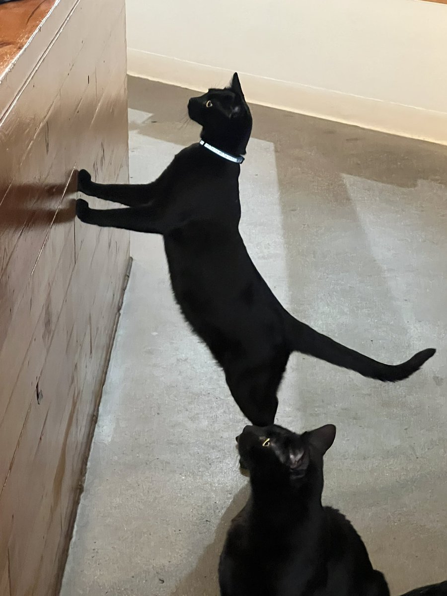 shun_awawa's tweet image. #liveanotherday