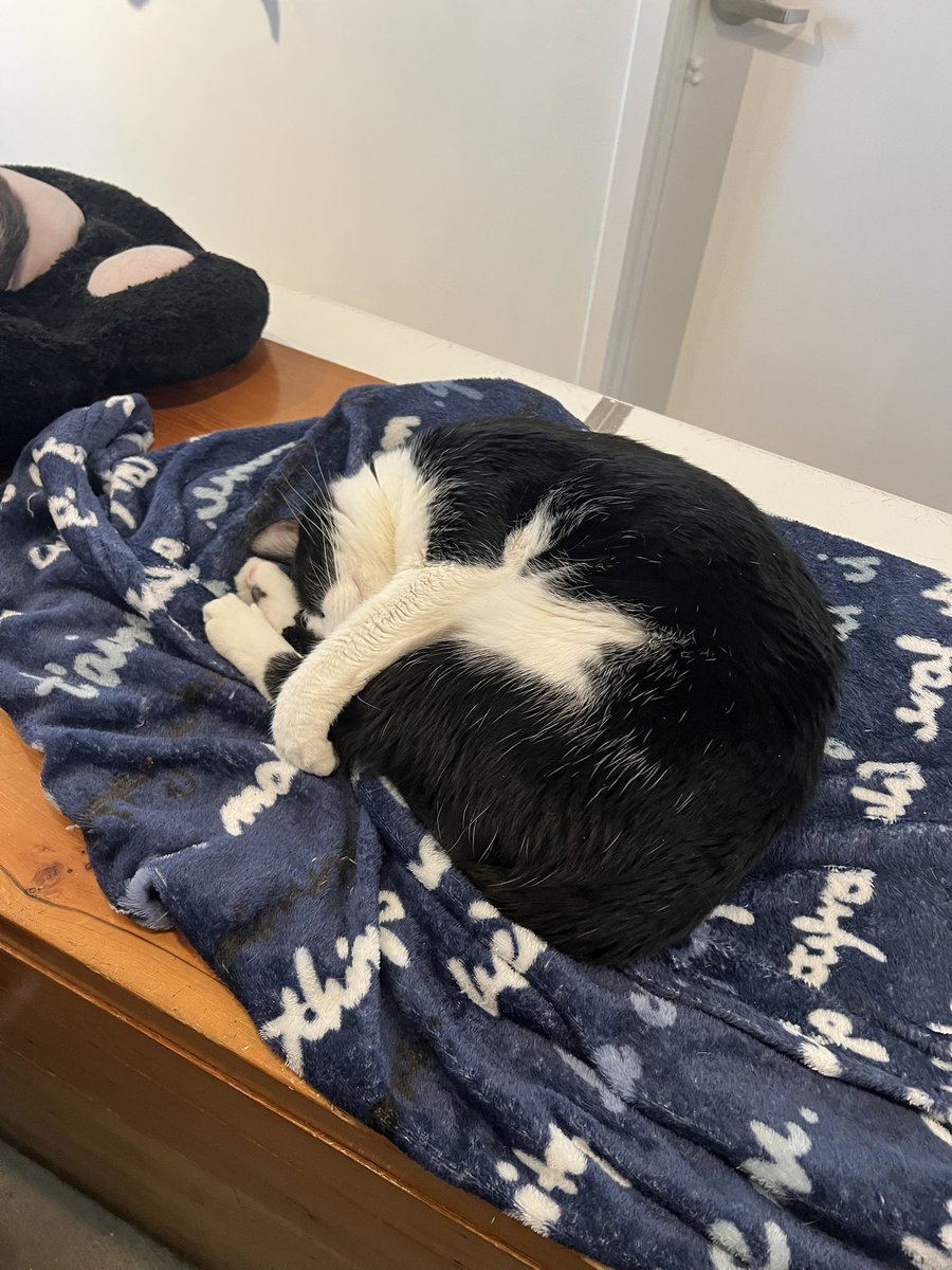 shun_awawa's tweet image. #liveanotherday