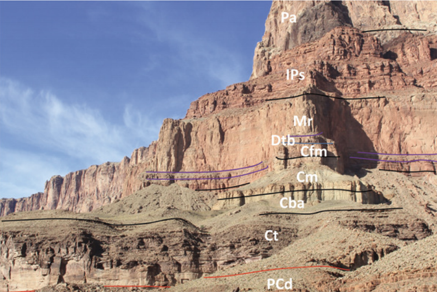geologyBits's tweet photo. In Geology ✔️ Mineralogy - Botany
#GrandCanyon #TontoGroup #CambrianExplosion #UNMResearch
🚨 Breaking: "Current News in Geology"
🔁 Grand Canyon’s Tonto Group Unveils Rapid Evolution in 500-Million-Year-Old Rocks
A groundbreaking discovery
in the Grand Canyon rewrites the story of Earth’s ancient life, revealing rapid marine animal turnovers during the Cambrian Explosion.
What secrets do these 500-million-year-old rocks hold?
Formation Story
The Tonto Group, a 500-meter-thick stack of sedimentary rock layers in the Grand Canyon, formed during the Cambrian period (~505–500 million years ago) when rising sea levels flooded North America.
This marine transgression
part of the global Sauk megasequence, blanketed continents with shallow seas, depositing layers of sandstone, shale, and limestone.
These rocks
including the Tapeats Sandstone, Bright Angel Formation, Muav Formation, and Frenchman Mountain Dolostone, capture a pivotal moment in Earth’s history known as the Cambrian Explosion, when diverse marine life with hard shells, like trilobites, rapidly proliferated.
Geological Information
Recent research led by the University of New Mexico, with contributions from Utah State University, Boise State University, and others, has refined our understanding of the Tonto Group.
Using advanced U-Pb dating
of zircon crystals, researchers pinpointed the group’s deposition to a narrow window of 505–500 million years ago, much faster than previously thought.
Unlike the traditional model
by Edwin McKee, which suggested a single, gradual marine transgression, the new findings reveal five distinct sedimentary sequences separated by disconformities, gaps where erosion or non-deposition occurred.
These sequences reflect
a mix of marine and non-marine environments, including braided coastal plains, wind-blown dunes, and tidal flats, shaped by episodic sea-level changes and powerful tropical storms, possibly stronger than modern hurricanes.
The study also highlights
rapid faunal turnovers, with trilobite species radiating and going extinct in less than 800,000 years, a geological blink.
These findings
published in GSA Today (November 2024), recalibrate the Cambrian timescale and underscore the Tonto Group’s role as a global reference for studying early animal evolution.
▶️ Interesting Fact
The Tonto Group’s Bright Angel Formation contains trace fossils, like tracks and burrows, that reveal the behavior of ancient marine invertebrates, offering a rare glimpse into how these creatures lived and moved 500 million years ago.
What do you think drove the rapid evolution of marine life during the Cambrian Explosion?
🔁 Like & Share your thoughts or any favorite fossil finds in the comments!
🎞️ Is the Mystery of Earth's 1.2 billion Missing Years Solved? | SciShow News
https://t.co/FVQkCuao7H