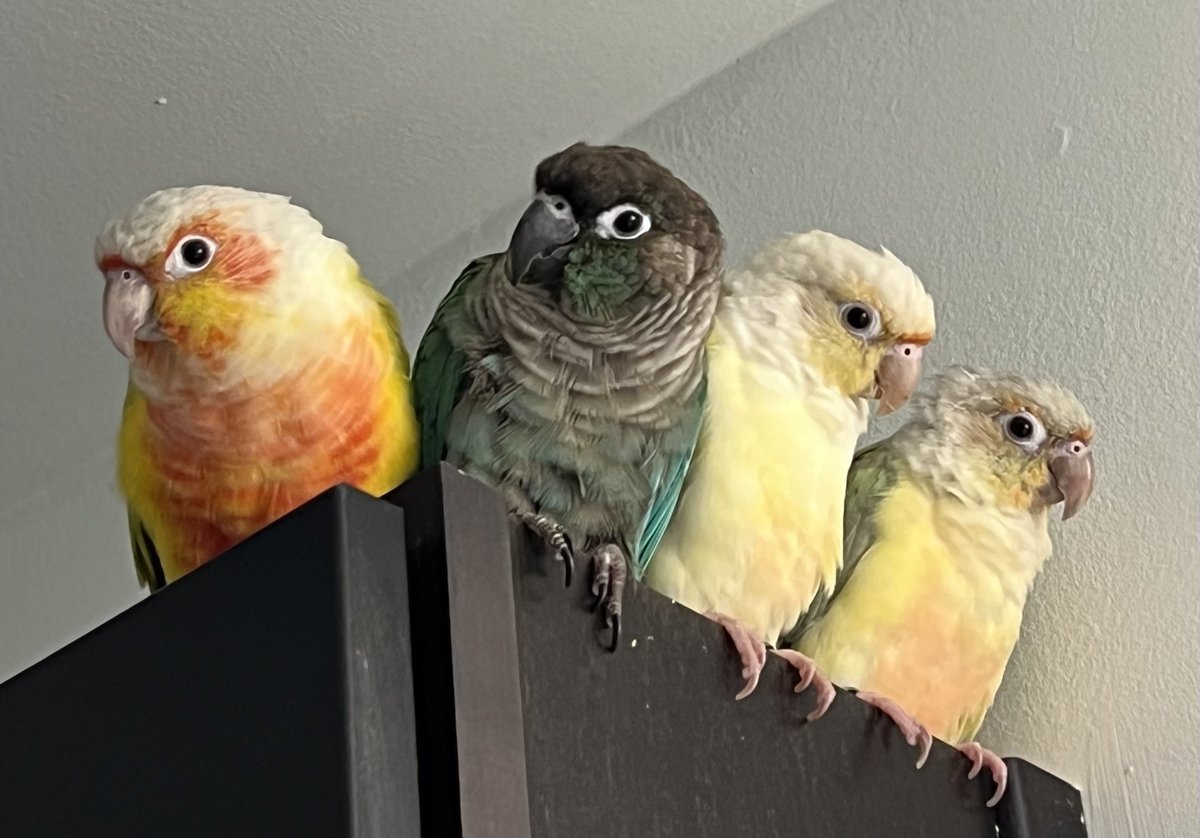 이게 2년 전 사진이라니…
시간 참 빠르다🥹

(그린칙 군단 강했을 시절)