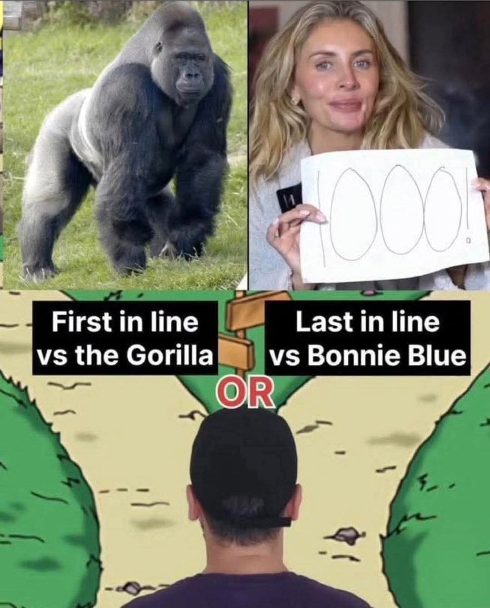 That gorilla is about to rip my face off and wear it as a hat!