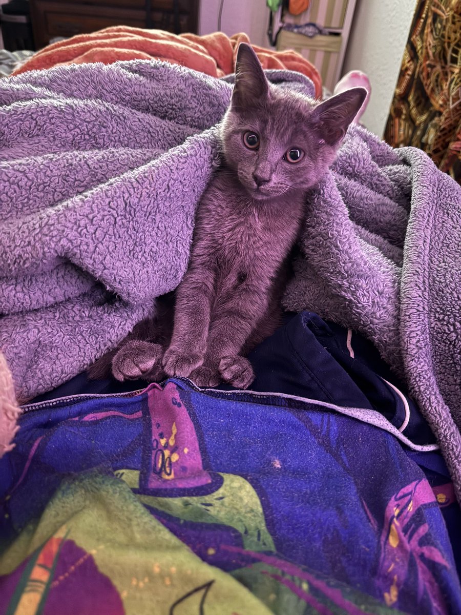 Wook Cavern tweet media