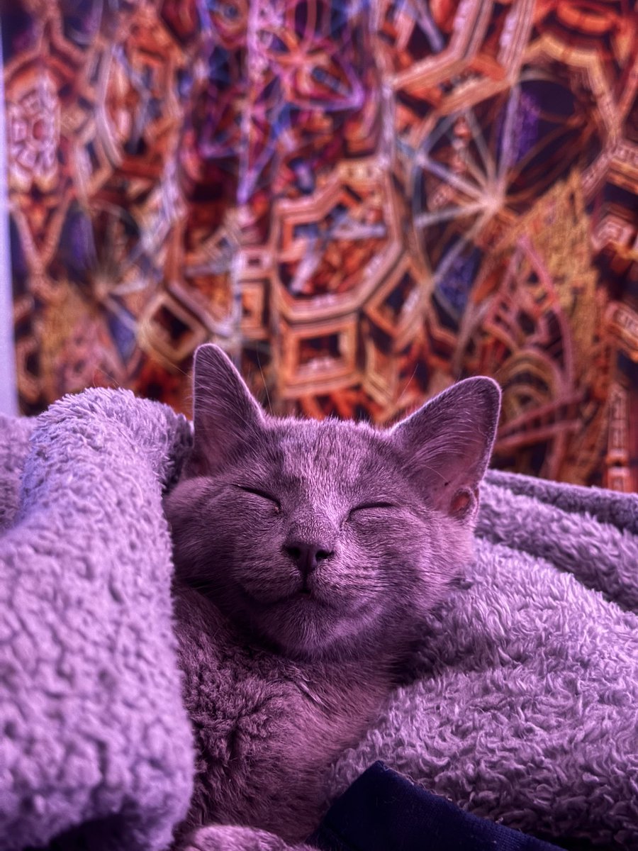 Wook Cavern tweet media