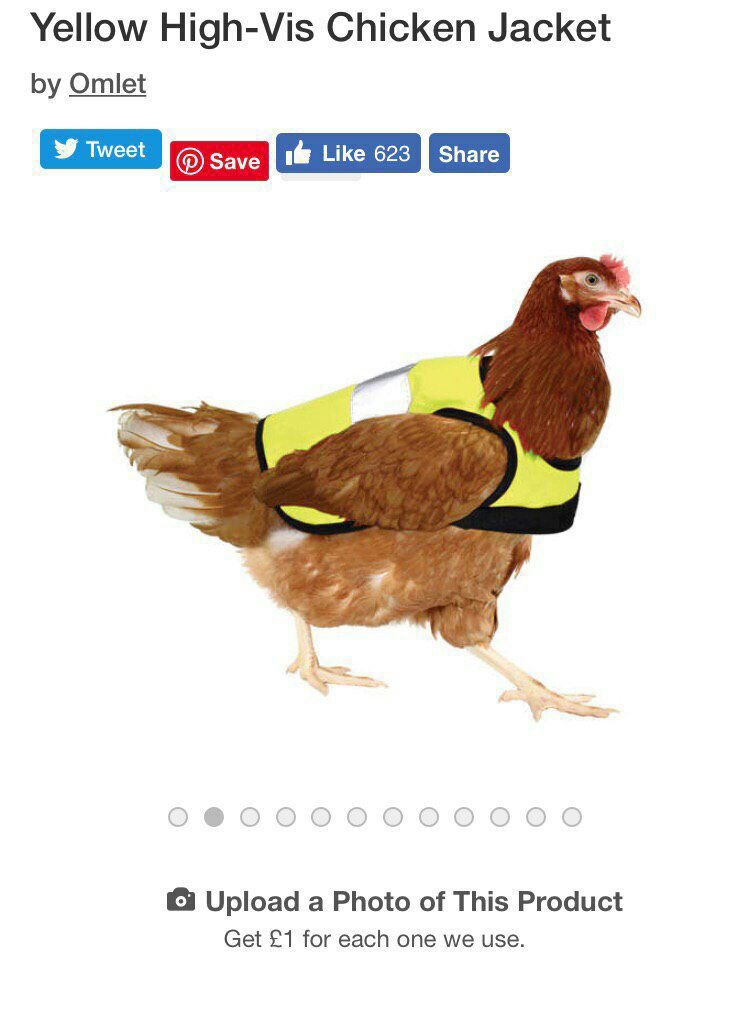 relscd's tweet image. thinking about the Yellow High-Vis Chicken Jacket