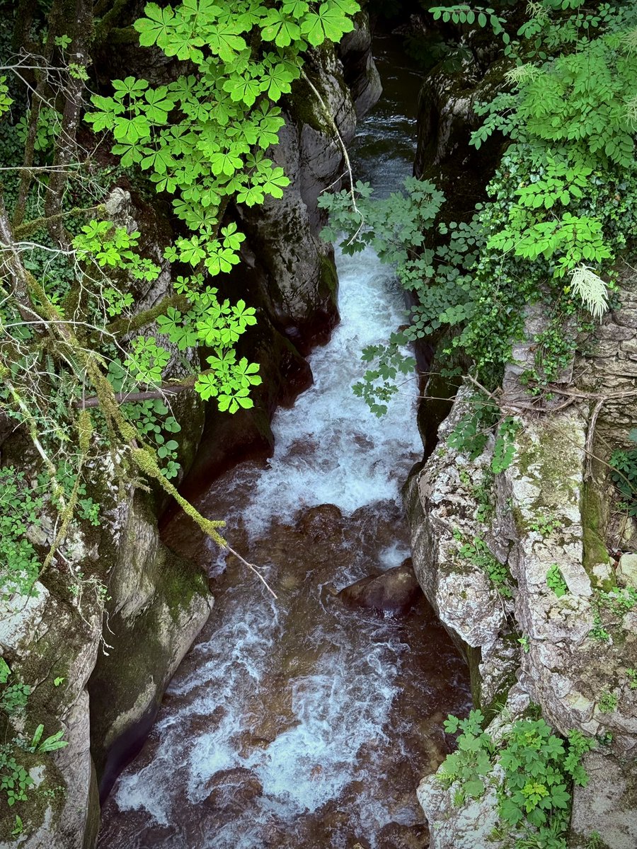 Les Gorges du Sierroz ❤️
Вот такую сказочную красоту в получасе езды от дома показывают.
Говорят, тут любили прогуливаться королева Виктория, Наполеон III, Австрийская императрица Элизабет и Александр Дюма. 
Могу их понять!