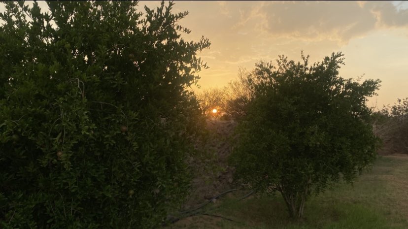 Fat_xll's tweet photo. farm trip ✨🌿☘️☀️☕️🍫🎶✨ https://t.co/bCLWdbiA0N