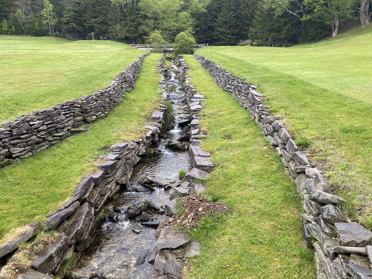 RileyJohnsGolf's tweet image. Finally made it out to see Fundy Bay GC, NB. Stanley Thompson’s final course before passing, with only 9-holes of the 18 built. Great terrain, the holes traverse a steep forested valley, trees are unfortunately starting to choke out the golf corridors.