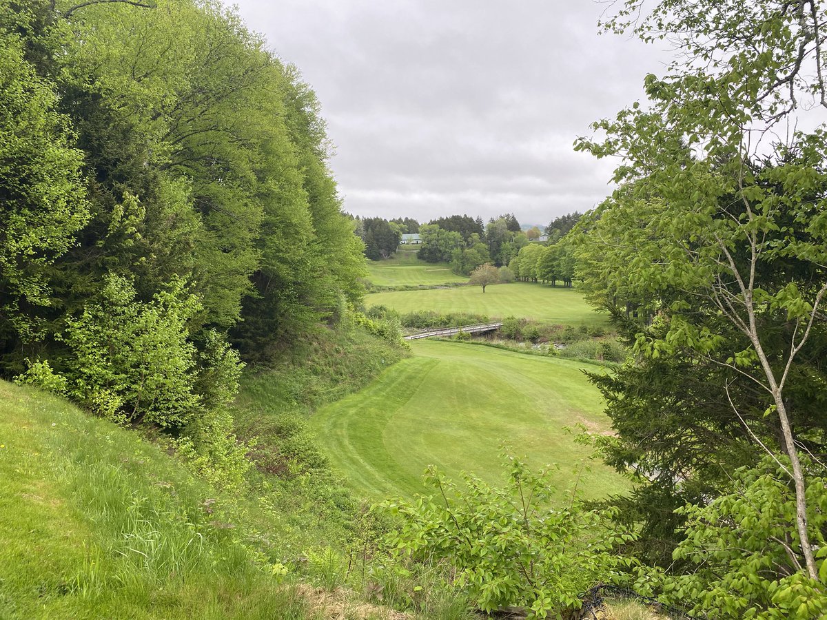 RileyJohnsGolf's tweet image. Finally made it out to see Fundy Bay GC, NB. Stanley Thompson’s final course before passing, with only 9-holes of the 18 built. Great terrain, the holes traverse a steep forested valley, trees are unfortunately starting to choke out the golf corridors.