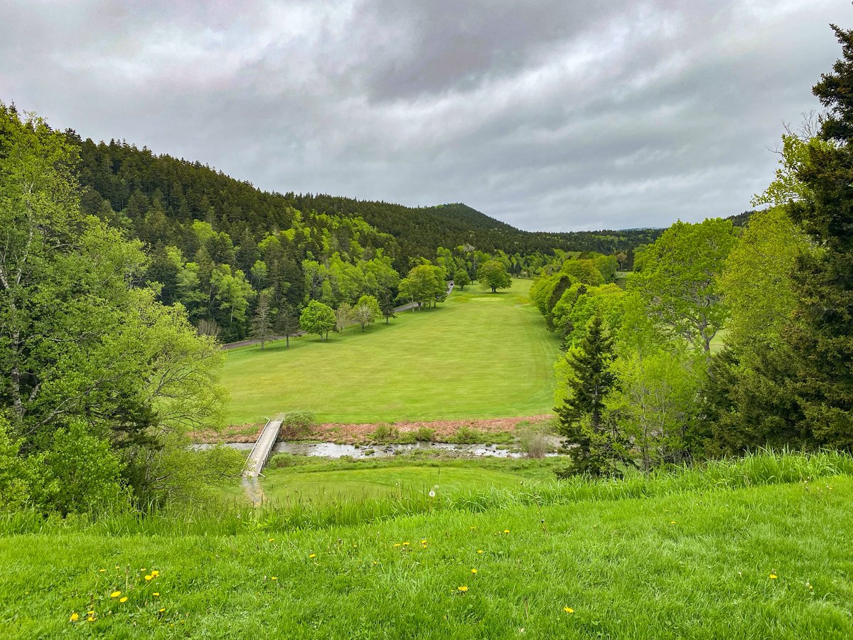 RileyJohnsGolf's tweet image. Finally made it out to see Fundy Bay GC, NB. Stanley Thompson’s final course before passing, with only 9-holes of the 18 built. Great terrain, the holes traverse a steep forested valley, trees are unfortunately starting to choke out the golf corridors.