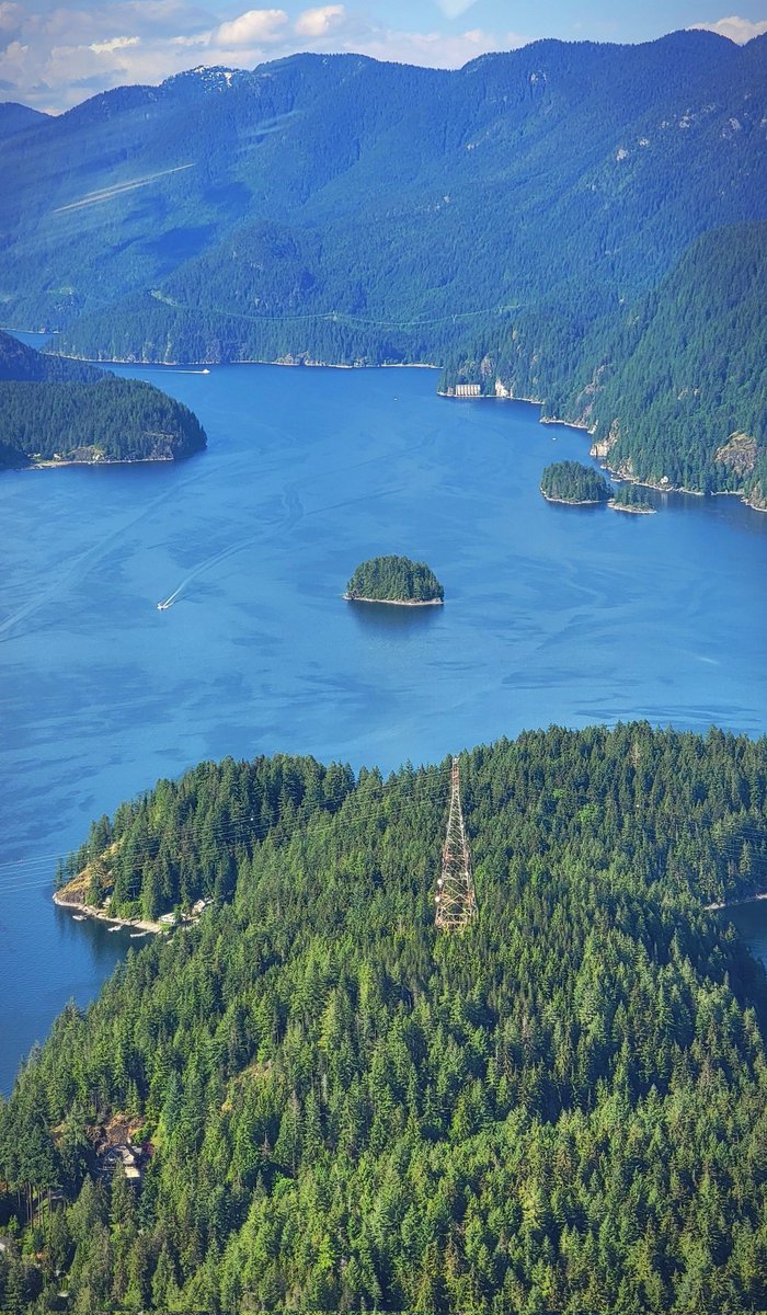 TrafficTrish 🚁 tweet media