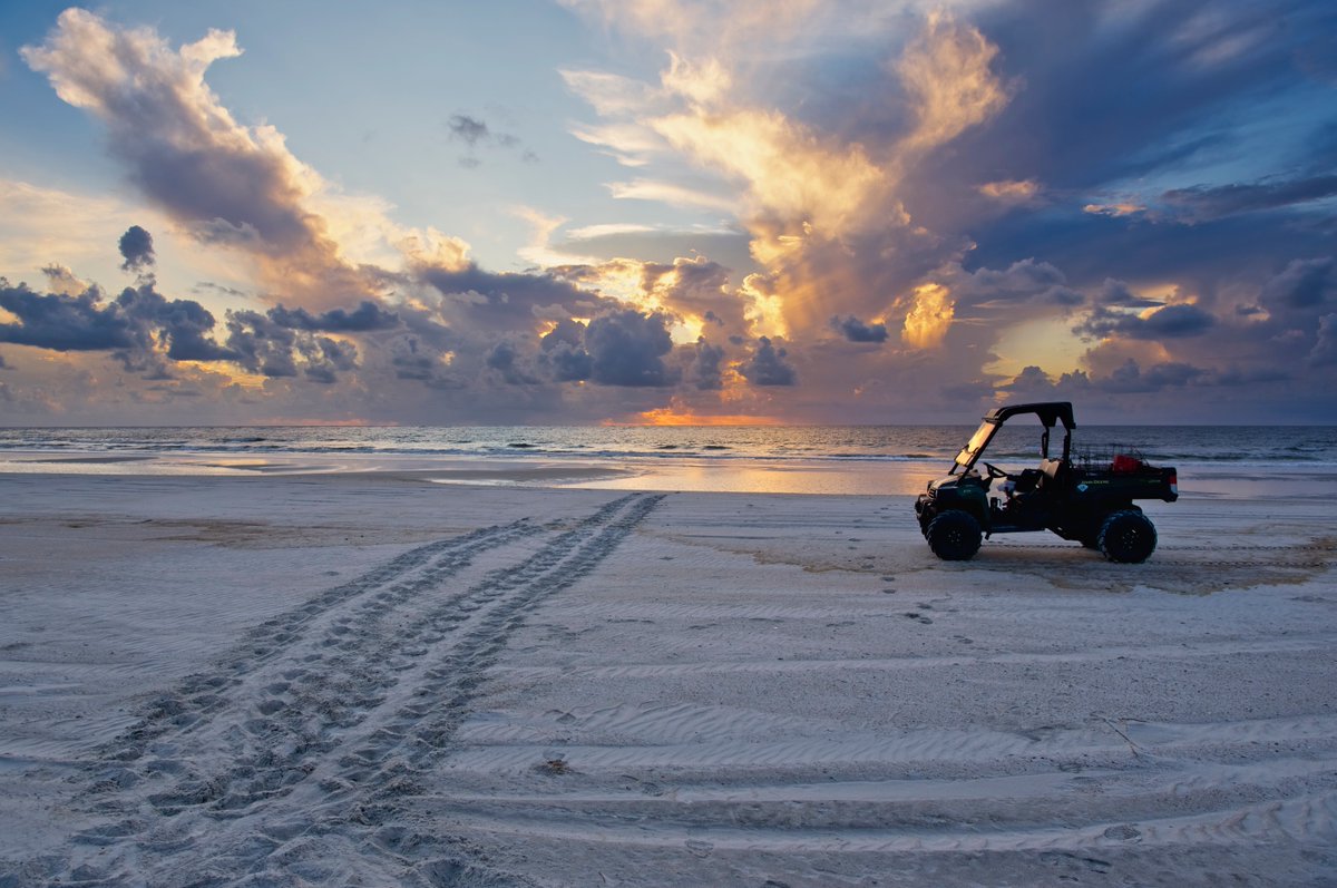 FLStateParks's tweet image. Things are getting “out of sand” this World Sea Turtle Day! 🌊🐢
Florida State Parks staff spend a lot of time and effort to protect one of the ocean’s best-known inhabitants.
Park staff and volunteers known as the “Turtle Patrol” diligently conduct daily nesting surveys from…