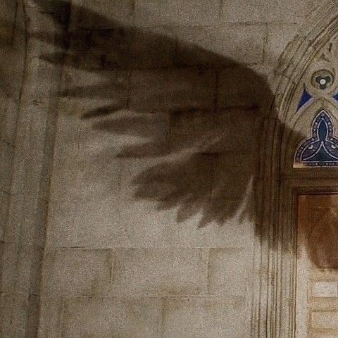 𝐚.𝐚.𝐰𝐚𝐥𝐤𝐞𝐫🌠(is writing ur kid's fav book) tweet media