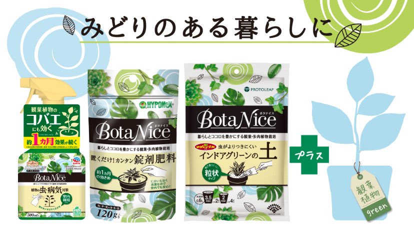 リツイートあえてしてないけど、観葉植物までつけてくれるのありがたすぎんか？
いけ、これを気にみんな応募しろ！
鍵垢解除して、公式ツイートを、リツイート＝リポスト&amp;フォロー
お前らの殺風景な部屋に、いまなら洒落た観葉植物あたるキャンペーンしてるぞ！
植物に興味がない奴程、応募してくれ！