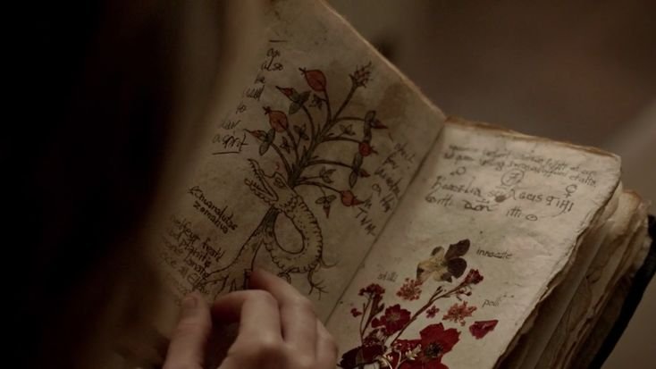 𝐚.𝐚.𝐰𝐚𝐥𝐤𝐞𝐫🌠(is writing ur kid's fav book) tweet media