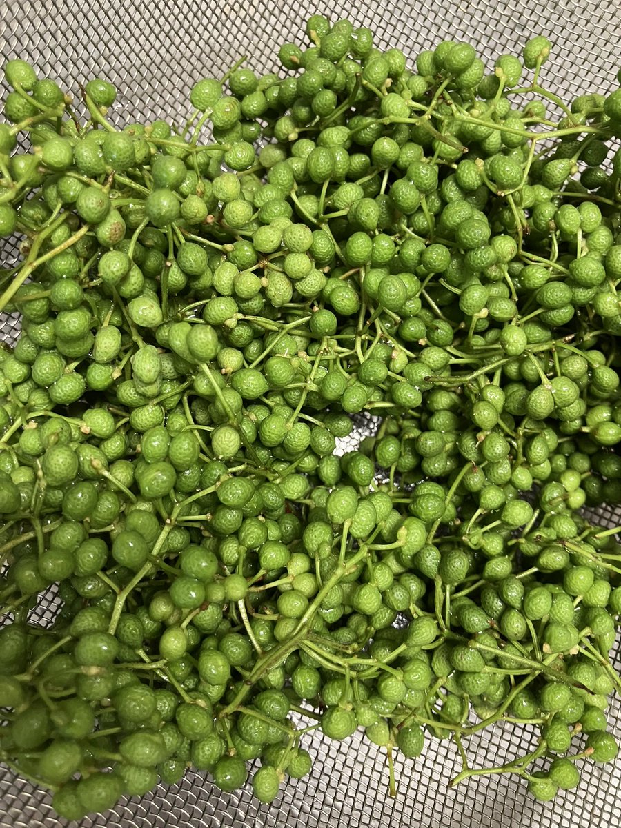 気づけば6月も半ば。
買いそびれたか⁉︎と焦ったけど、入手出来てホッとする…実山椒。