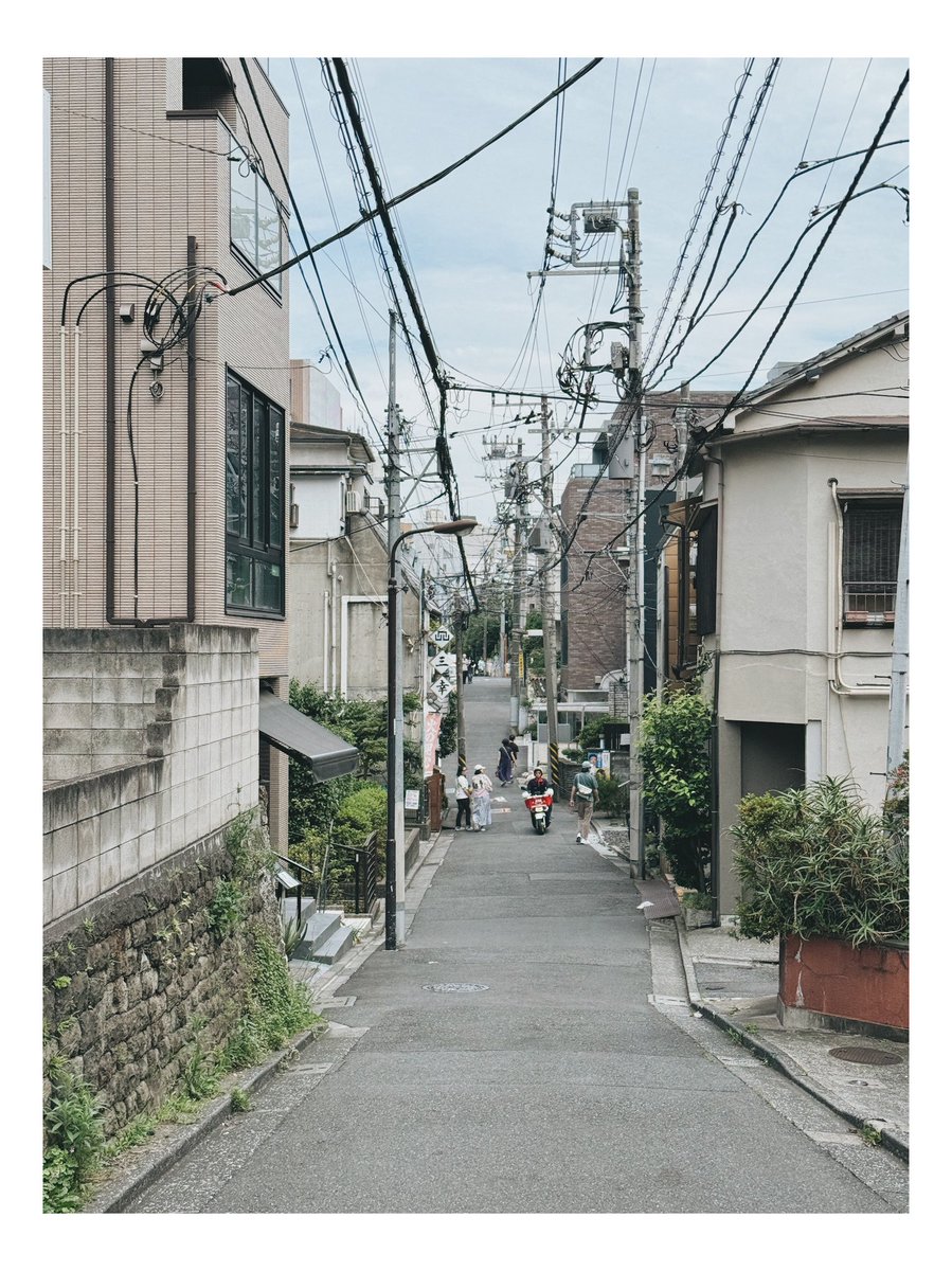 ph_classica's tweet image. 縦構図

#都市風景
#shotoniphone