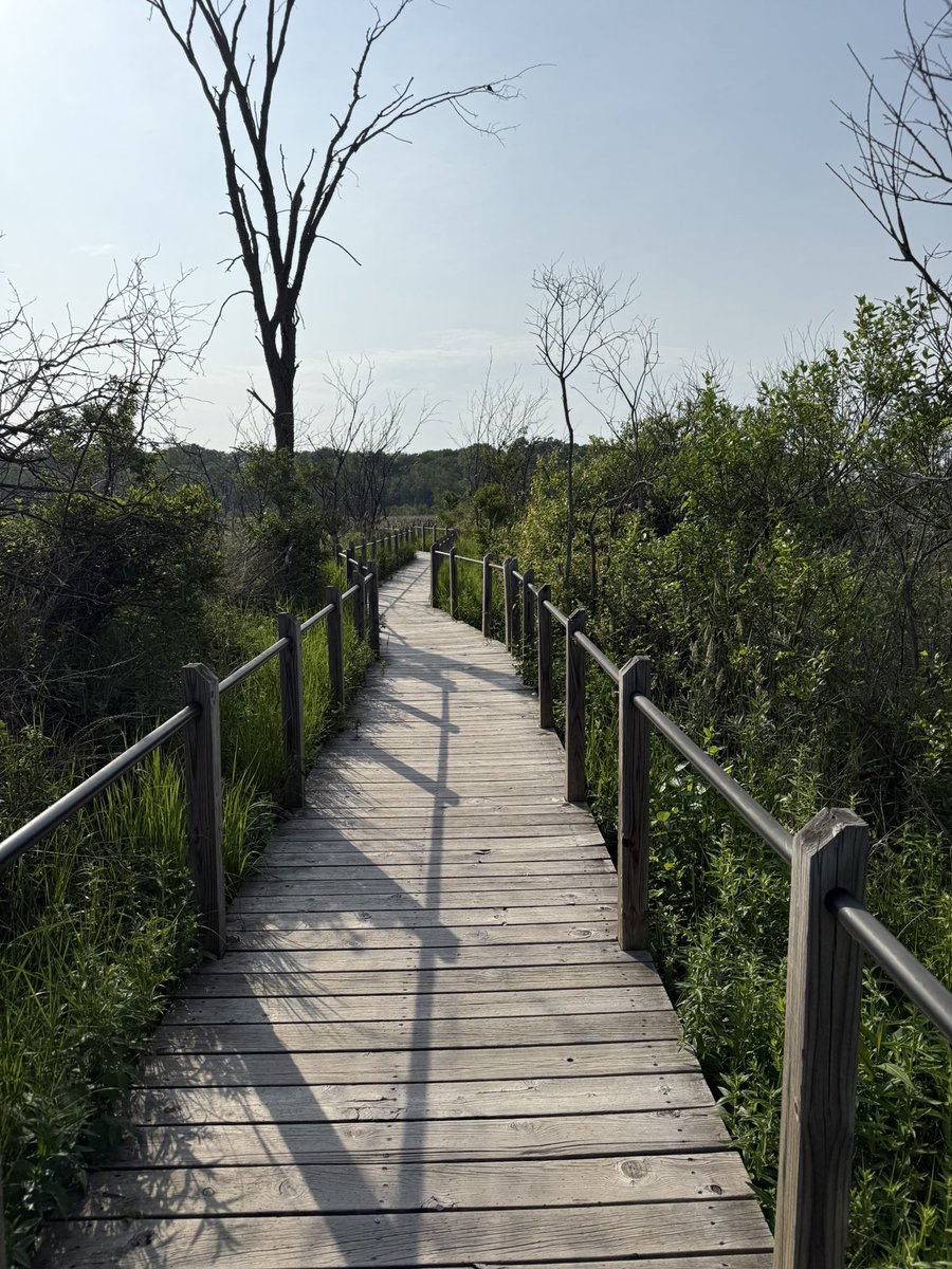 karrie_joy's tweet photo. After my ride tonight I might upgrade my bike seat 😂! 6.75 #milesformike tonight, bike path, trail, bayou bridge!
#always🦋
#hellofaview
#keepsmiling
#chooseyou
#choosehappy https://t.co/xmuryWqiiH