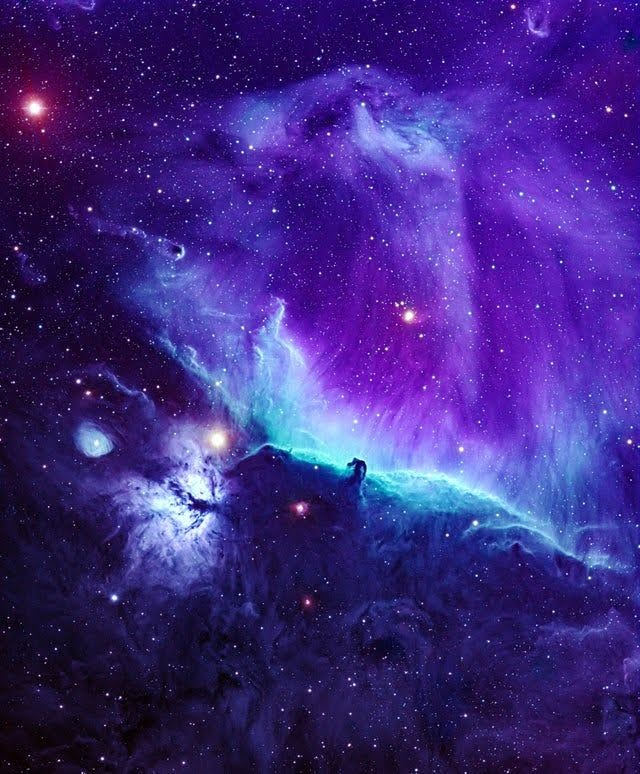 IC434 Horsehead and flame nebula in Orion by cosmonautroger: tmblr.co/Z0XPZybXgflAme…