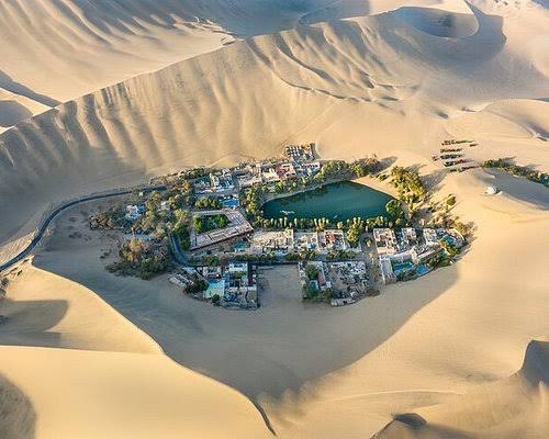 Gartzene tweet media