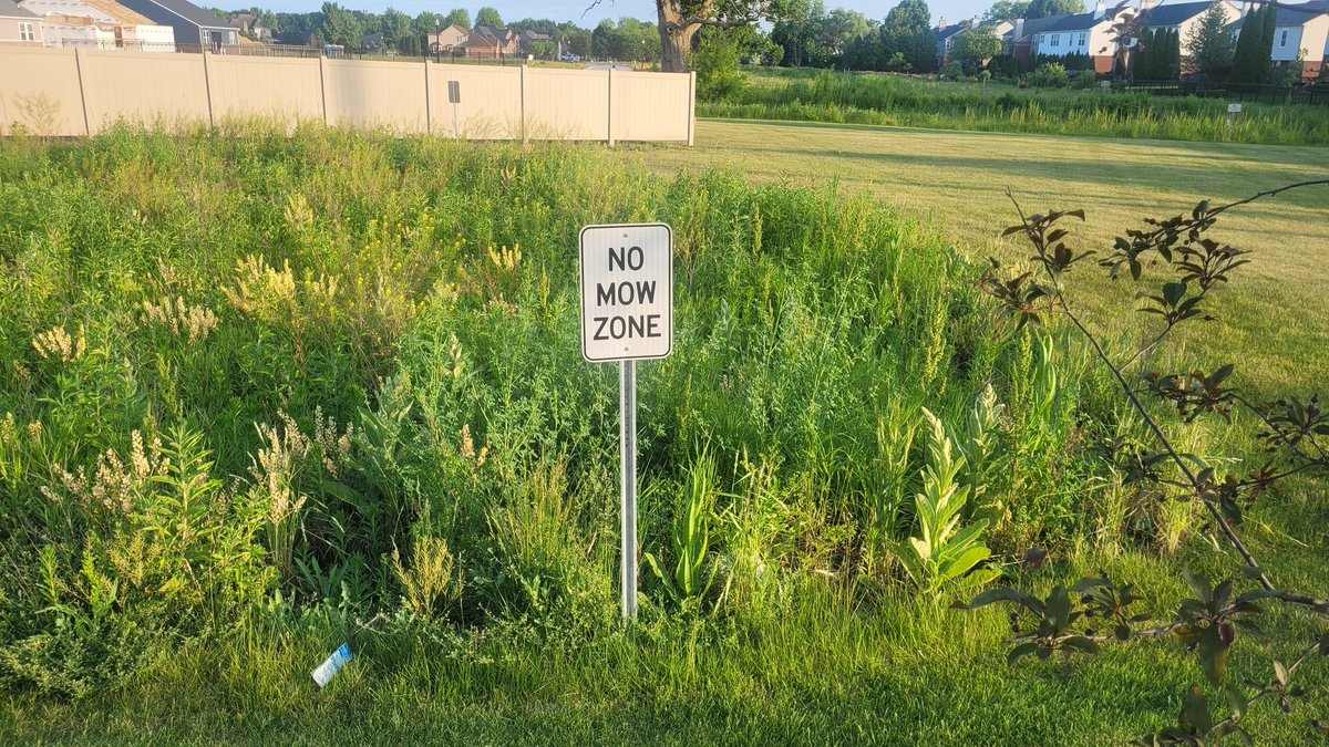 CumminsChanning's tweet image. Guys...it&apos;s a 10&apos; x 10&apos; square 🙄🙄🙄