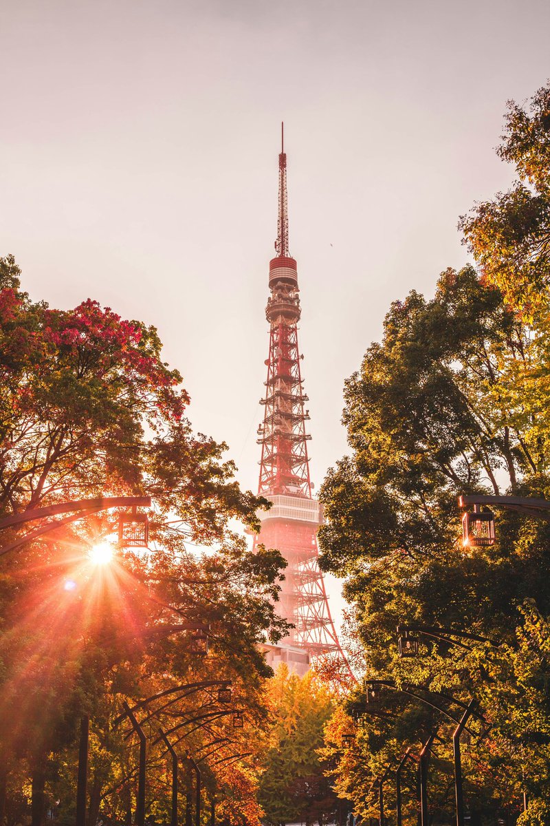 japanvistamedia's tweet photo. Tokyo, Japan. 🗼 https://t.co/UI5DzzPbSt