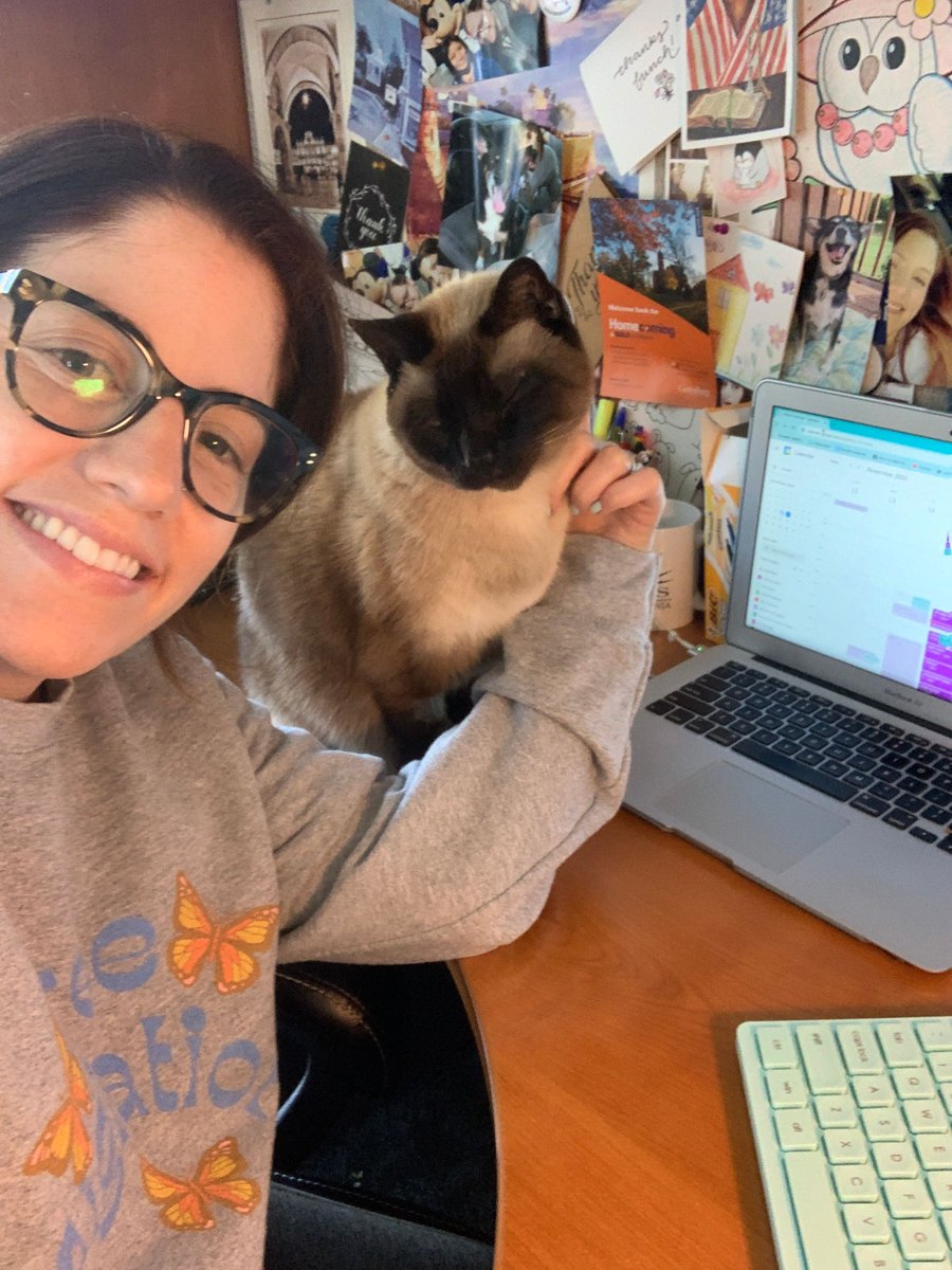 project_lbrtd's tweet image. Since it&apos;s #NationalTakeYourCatToWorkDay, meet Rachel&apos;s trusty #WFH paralegal! Rudy may have accidentally photocopied his own paw once, but he is a great assistant. 🤓🐾