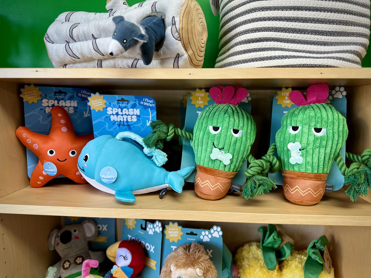 HalasPaws's tweet photo. Looking for dog toys that float for pool days or fun toys for tug-of-war champs? We’ve got ’em all at Hala’s Paws, your favorite small business pet store right here in Orange County! Shop local, support small, and snag your pup’s next favorite toy at https://t.co/dNQfsVcZ0G https://t.co/CV46eOW5Wl