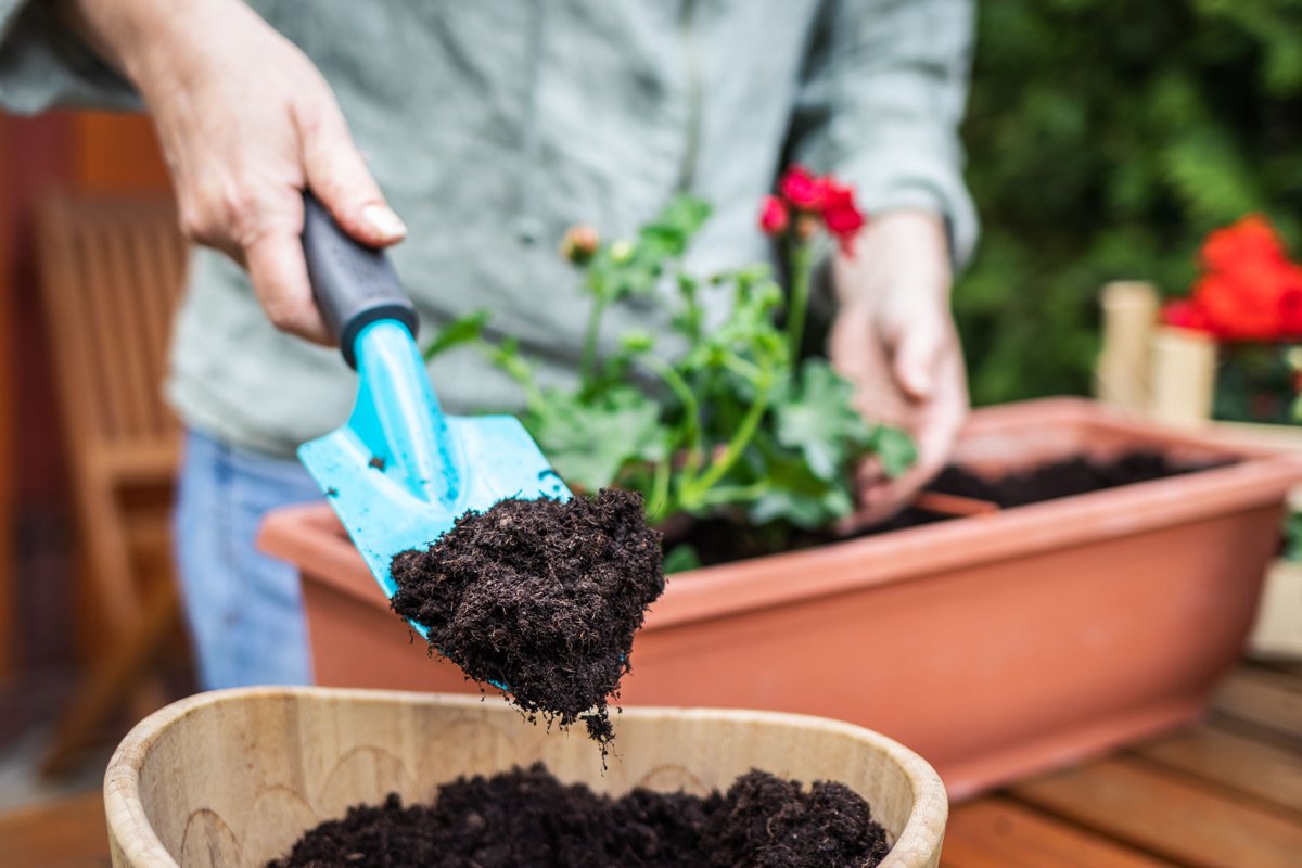 Have a summer gardening project? Get your free compost from us and make your garden grow! Learn how to get your two free orders of compost at cityofsacramento.gov/public-works/r…