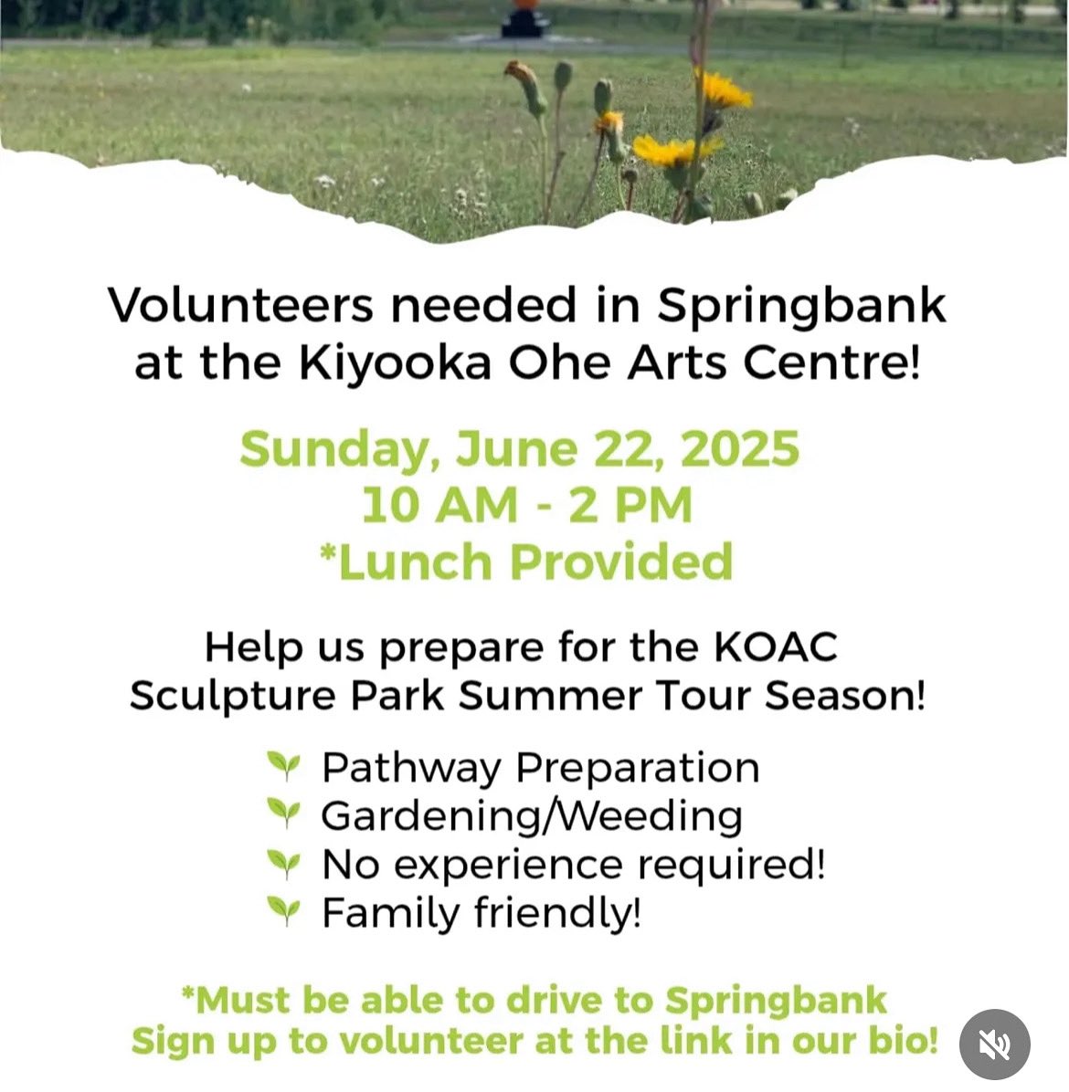 Volunteers needed this Sunday at the sculpture park! Eat pizza with us after weeding! form.jotform.com/KOAC_communica…