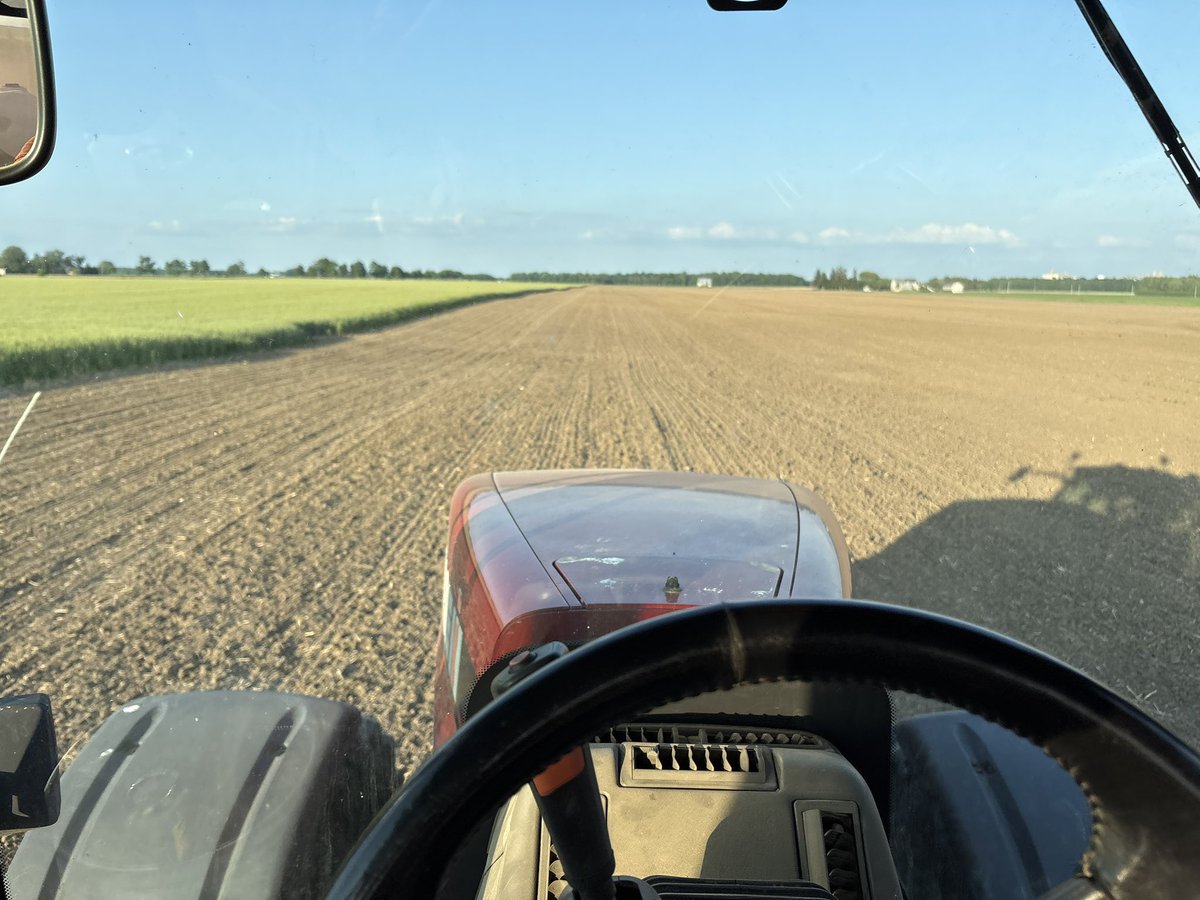 Stefan Zehetner tweet media